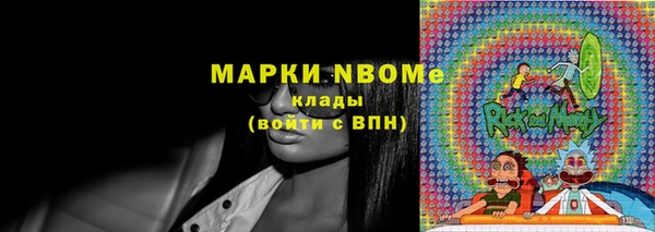 гидра Богородск