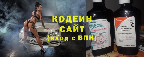 гидра Богородск
