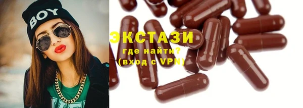 гидра Богородск