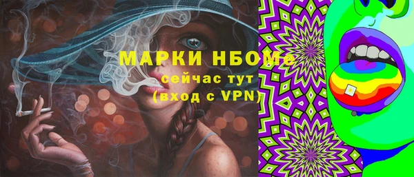молекула духа Богданович