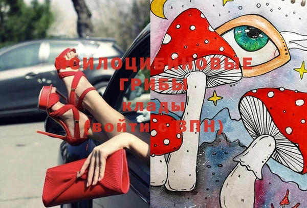 стафф Белокуриха