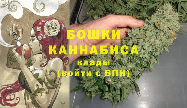 гидра Богородск