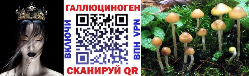 Галлюциногенные грибы Magic Shrooms  Новокузнецк 