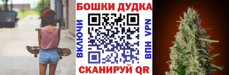где можно купить   Новокузнецк  Марихуана индика 